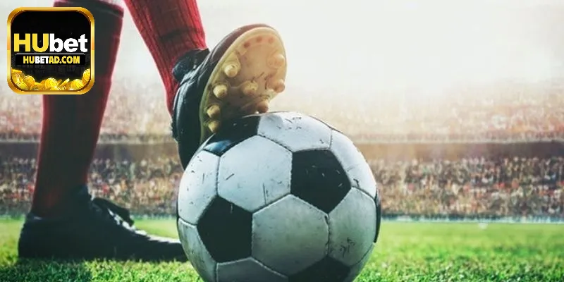 Cách Đọc Và Hiểu Cho Anh Em Các Loại Kèo Châu Á Phổ Biến